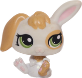 #1417 Baby Rabbit